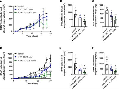 MK2 drives progression of pancreas and colon cancers by suppressing CD8+ T cell cytotoxic function and is a potential immunotherapy target